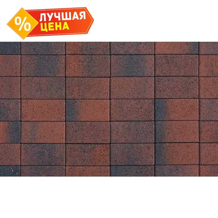 Плитка тротуарная Прямоугольник (Ла-Линия) В.2.П.10 Листопад гранит Клинкер 200x100x100 мм